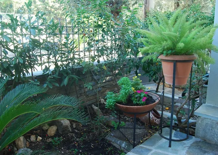 Affordable Luxury Garden Apartment