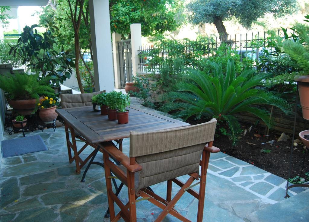 Affordable Luxury Garden Athens