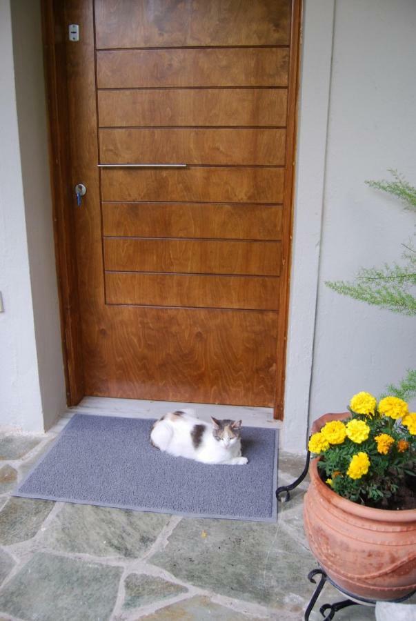 Affordable Luxury Garden * 雅典