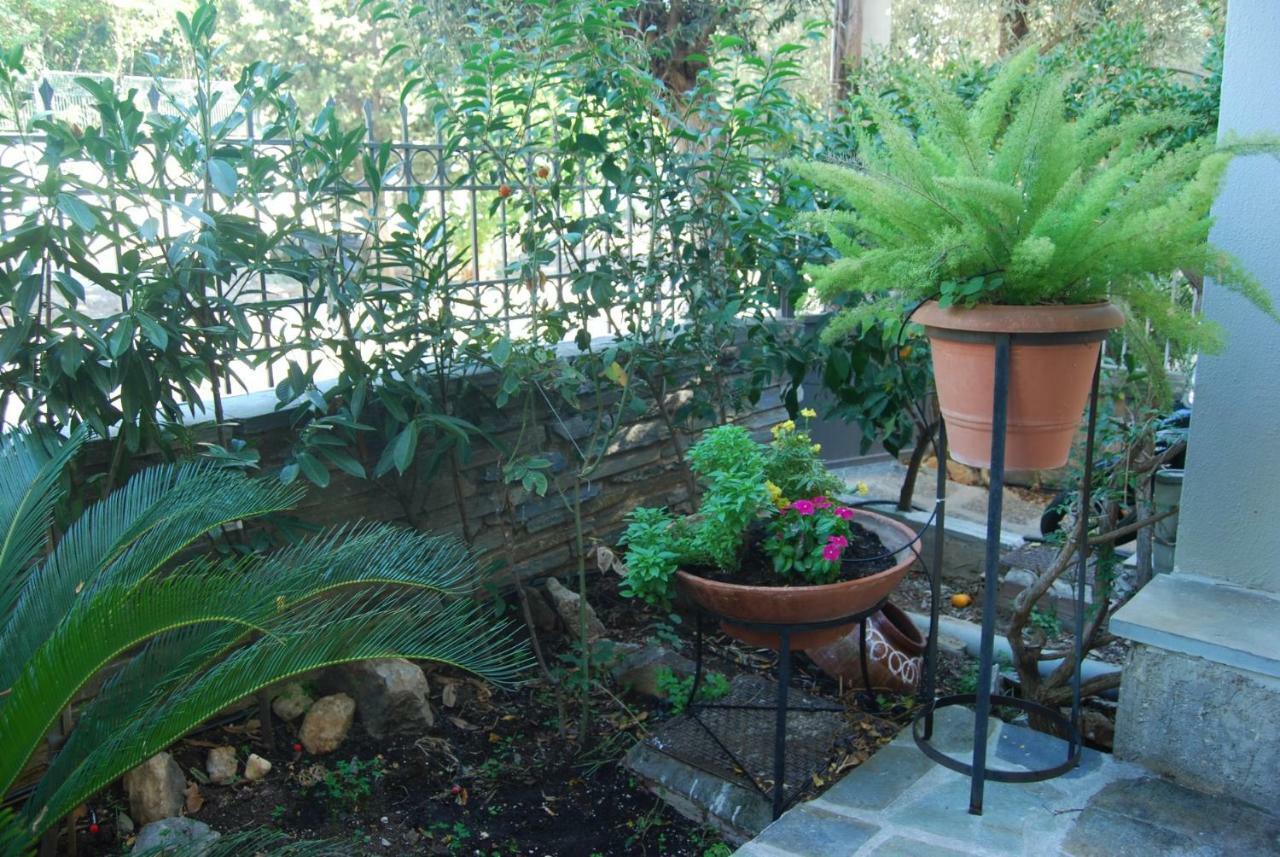 Apartment Affordable Luxury Garden Athens